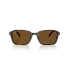 0RB2231  902 57  P21  shad  fr okulary przeciwsloneczne