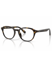 Ray-Ban 0RX7259D 52 2012