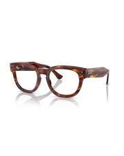RAY-BAN 0RX0298V 48 2144