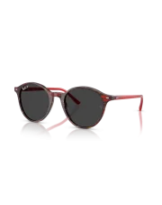 RAY-BAN 0RB2230 53 141948 SUN