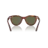 0RB2241  954 58  P21  shad  bk okulary przeciwsloneczne