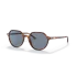 0RB2195  954 62  STD  shad  qt