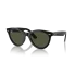 0RB2241  901 31  P21  shad  qt