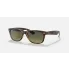 0RB2132  894 76  STD  shad  qt