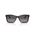 0CH5551U  C501M3  P21  shad  fr