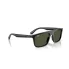 0RB2222  901 31  P21  shad  al2