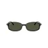0RB2232  901 31  P21  noshad  fr