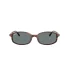 0RB2232  954 62  P21  noshad  fr