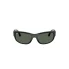 0RJ9189S  100 71  P21  noshad  fr
