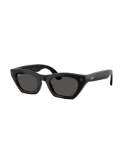 RAY-BAN META  RW4015 601/87