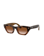 RAY-BAN META RW4015 690513