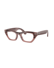 RAY-BAN META RW4015 69161Z fotochrom